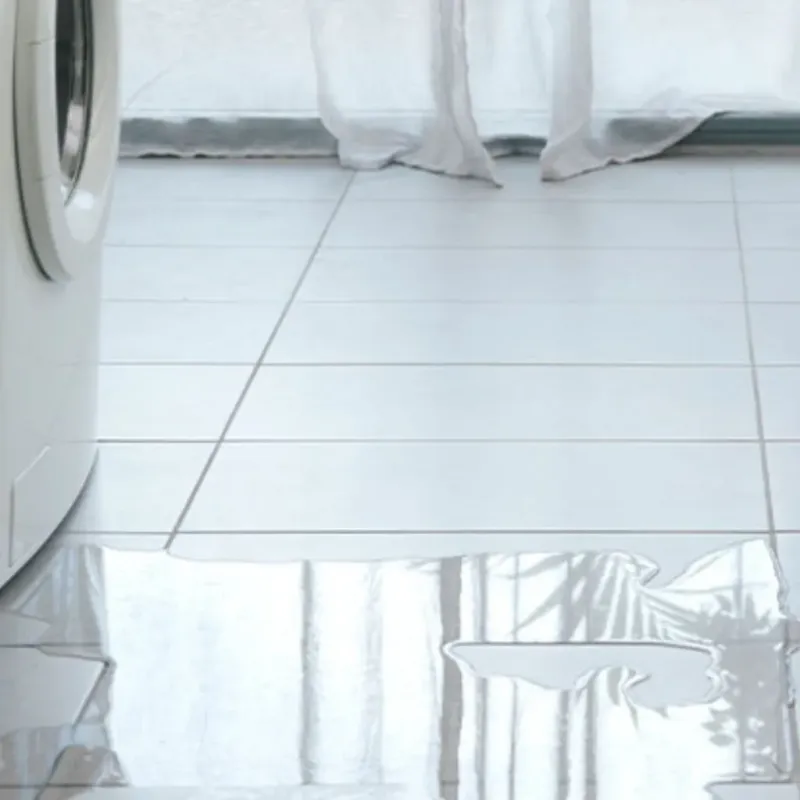 Appliance Leak Cleanup in Eldorado, IL