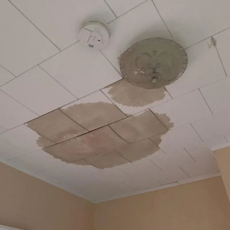 Ceiling Water Damage Repair in Eldorado, IL
