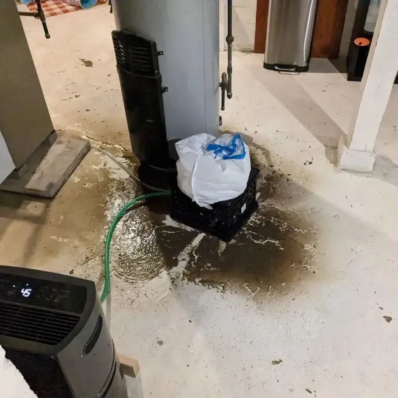 Sewage Backup Cleanup Service in Eldorado, IL